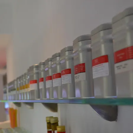 克里斯蒂娜酒店 酒店 布加勒斯特